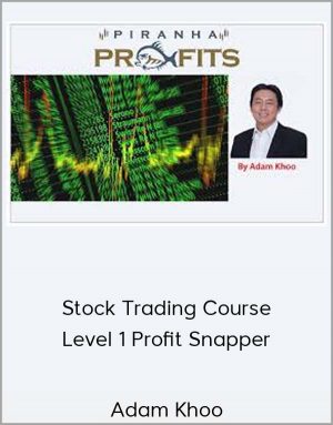 Adam Khoo – Stock Trading Course Level 1 Profit Snapper