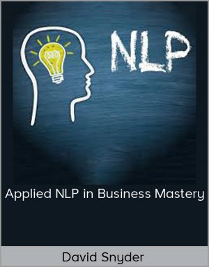 David Snyder – Applied NLP in Business Mastery