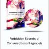 David Snyder – Forbidden Secrets of Conversational Hypnosis