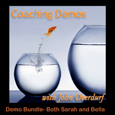 John Overdurf – Coaching Demos Bundle