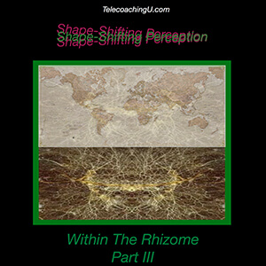 John Overdurf – Shapeshifting Within The Rhizome