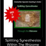 John Overdurf – Splitting Synesthesias Within The Rhizome