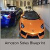 Tai Lopez – Amazon Sales Blueprint