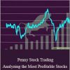 Mubarak Shah – Penny Stock Trading – Analyzing the Most Profitable Stocks