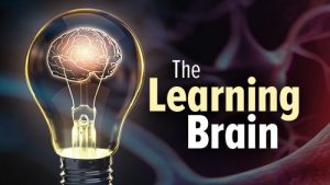 The Learning Brain