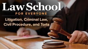 Law School for Everyone Litigation, Criminal Law, Civil Procedure, and Torts