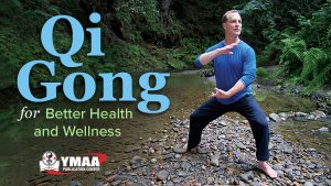 Lee Holden - Qi Gong for Better Health and Wellness