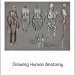 Aaron Blaise - Drawing Human Anatomy