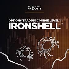 Adam Khoo - Options Trading Course L1 Ironshell