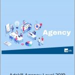 Adskill Agency Level 2019