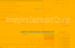 Annielytics Dashboard Course Lite(2016)