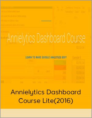 Annielytics Dashboard Course Lite(2016)