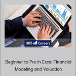 Beginner to Pro in Excel Financial Modeling and Valuation