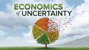 Connel Fullenkamp - Economics Of Uncertainty