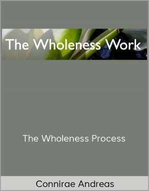 Connirae Andreas – The Wholeness Process