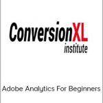 ConversionXL - Fiona De Brabanter - Adobe Analytics For Beginners