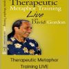 David Gordon - Therapeutic Metaphor Training LIVE