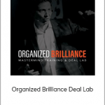 Dean Graziosi & Matt Larson - Organized Brilliance Deal Lab