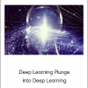 Deep Learning Plunge into Deep Learning