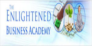 Enlightened Business Academy 2016