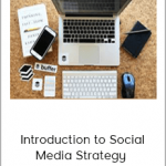 Introduction To Social Media Strategy - Learn With Buffer