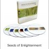 Jeddah Mali – Seeds of Enlightenment