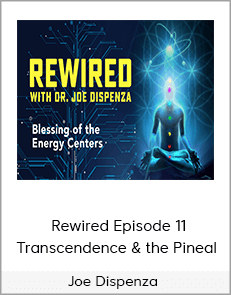 Joe Dispenza - Rewired Episode 11: Transcendence & the Pineal