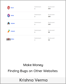 Krishna Verma - Make Money Finding Bugs on Other Websites