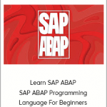 Learn SAP ABAP- SAP ABAP Programming Language For Beginners