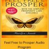 Marilyn Jenett - Feel Free To Prosper Audio Program