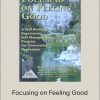 Michael Yapko – Focusing on Feeling Good