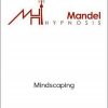 Mike Mandel – Mindscaping