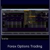 Options University – Forex Options Trading