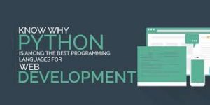 Python Web Programming