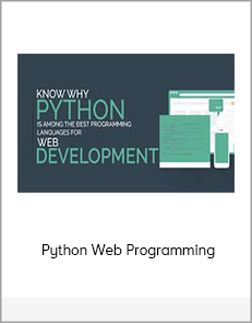 Python Web Programming