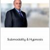 Richard Bandler – Submodality & Hypnosis