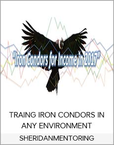 SHERIDANMENTORING - TRAING IRON CONDORS IN ANY ENVIRONMENT