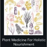 Sara Crow, LAc, MTOM – Plant Medicine For Holistic Nourishment