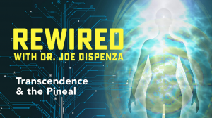 Joe Dispenza - Rewired Episode 1: Introduction to Your Brain