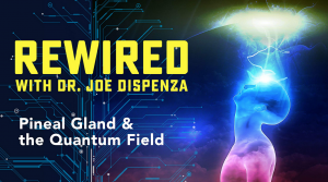 Joe Dispenza - Rewired Episode 9: Creating with the Field