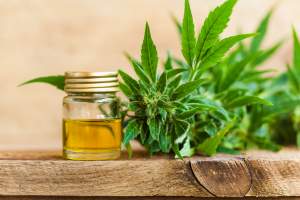 Launch a Successful CBD Business