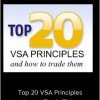 Top 20 VSA Principles & How to Trade Them