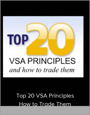 Top 20 VSA Principles & How to Trade Them