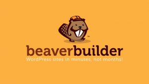 WP Beaver Builder - Whitelabel Agency Version