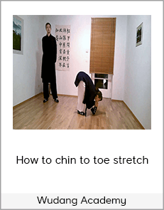 Wudang Academy- How to chin to toe stretch