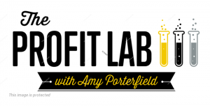 Amy Porterfield - Facebook Profit Lab