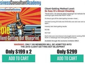 Business Consultant Academy - Client Getting Bot Blueprint (2018)