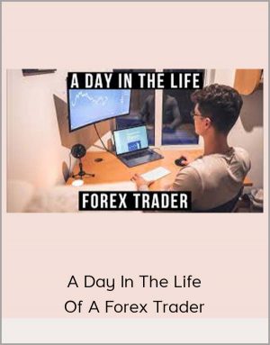 A Day In The Life Of A Forex Trader