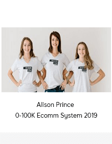 Alison Prince - 0-100K Ecomm System 2019