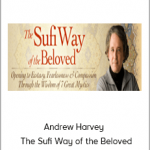 Andrew Harvey - The Sufi Way of the Beloved